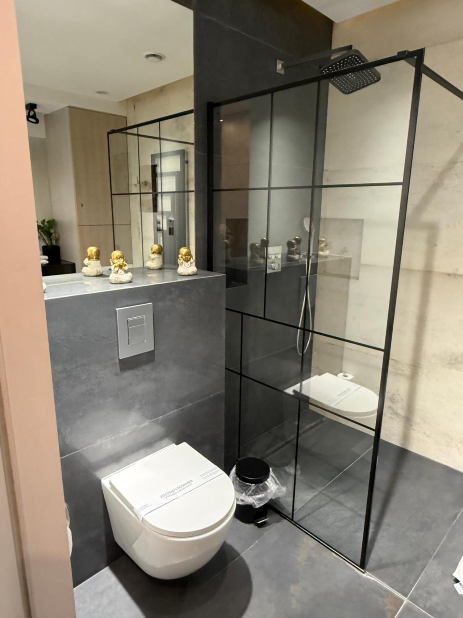 Apartament Aleja Wolnosci نوفة ساونج المظهر الخارجي الصورة